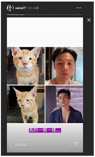 杨丞琳认证李荣浩撞脸猫咪 俩人预计在今年举行婚礼
